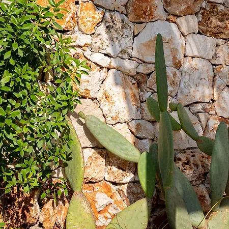 & Village Parque de Campismo Porto Cesareo